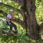 Woman limb walking in a tree