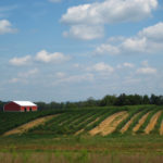 Farm in Tennessee
