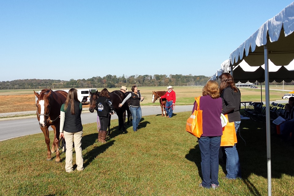 Picture of horse health presentation