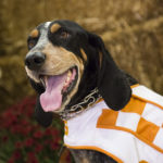 Picture of University of Tennessee Volunteers mascot Smokey