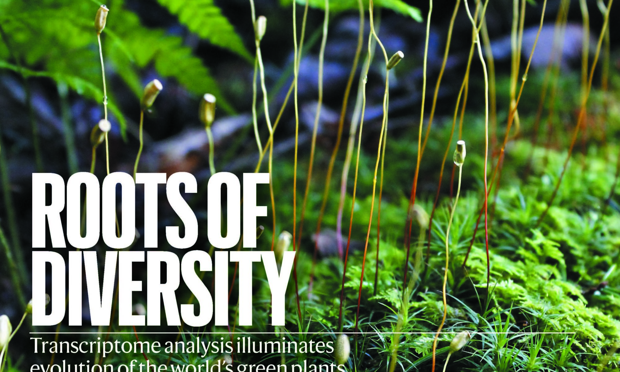 Cover of Nature magazine