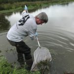 Picture of researcher collecting tadpoles
