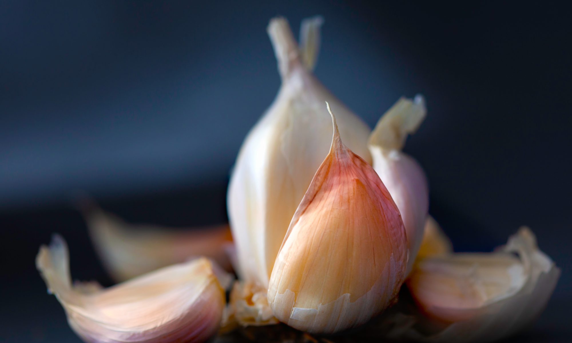 Picture of garlic on a dark table