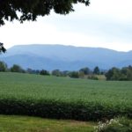 Picture of idyllic east Tennessee agriculture