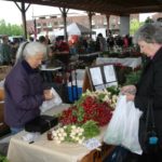 Picture of women shopping at farmer's market