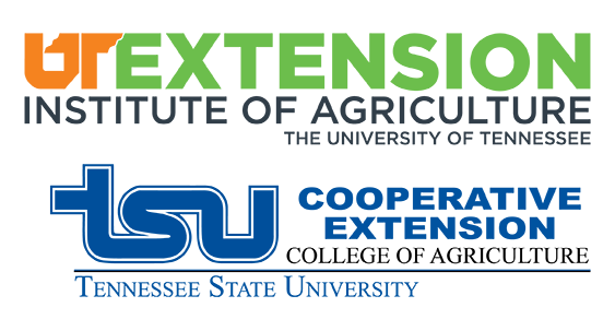 UT Extension and TSU Combined Logo
