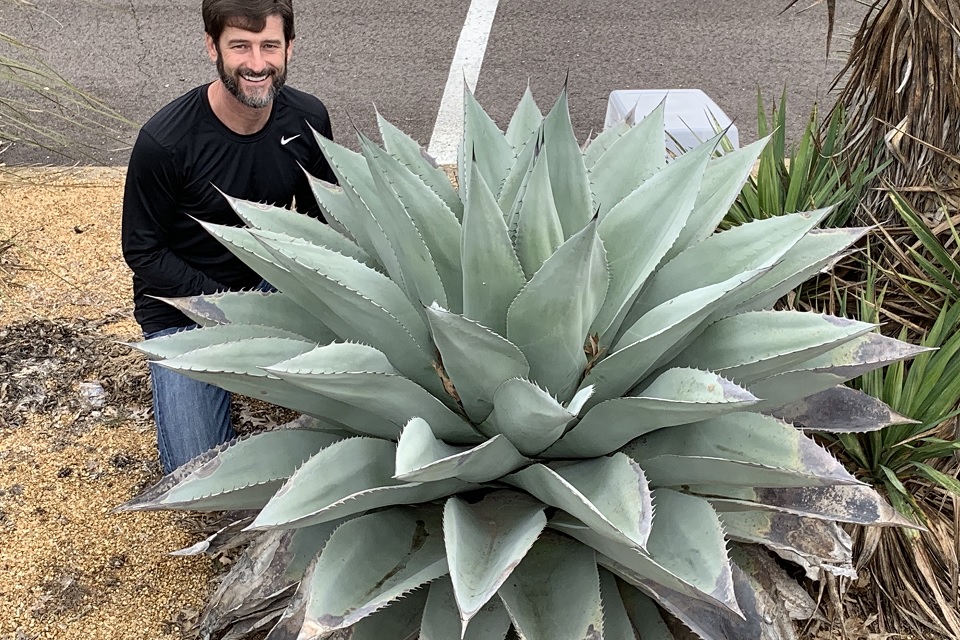 Picture of Jason Reeves with whale's tongue agave plant