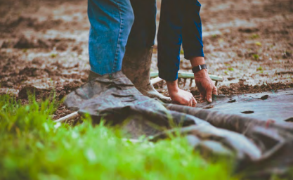 Picture of a person laying down biodegradable mulch