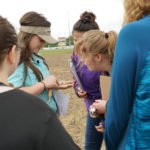 Picture of students
