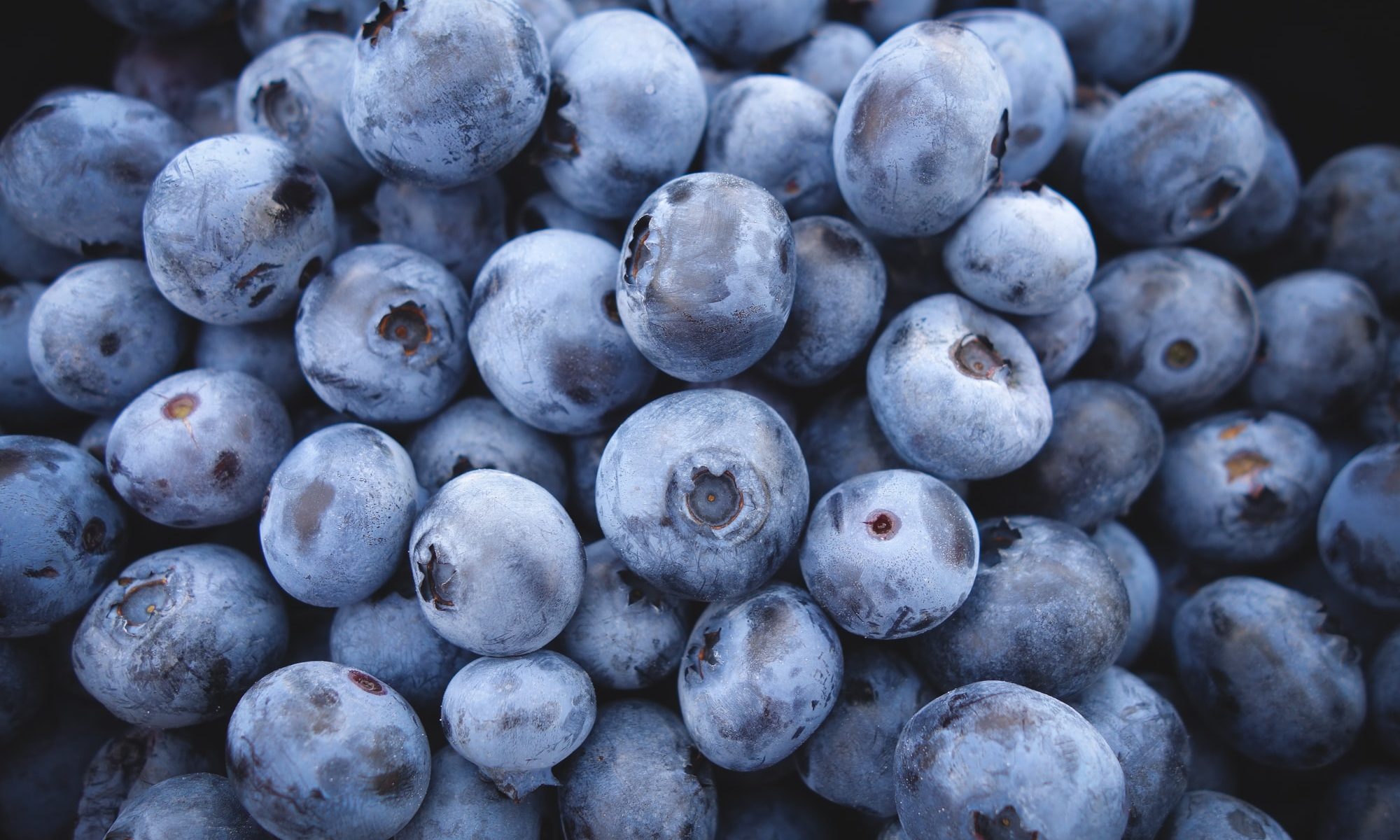 Picture of blueberries