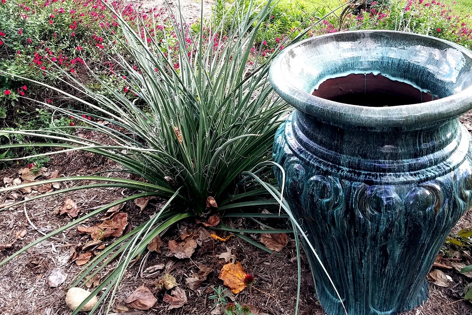 Photo of plant next to stone container