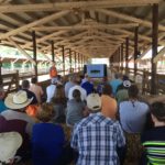 Picture of session at field day