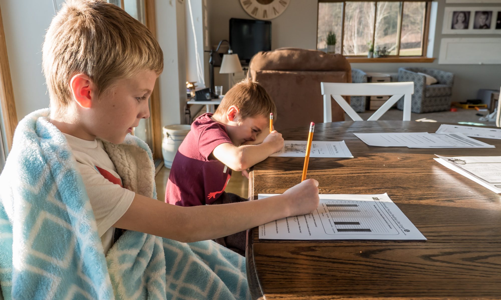 Picture of two young boys doing homework at a dining room table