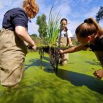 Picture of students testing design in a wetland