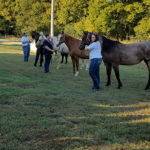 Jennie Ivey teaching a session at a field day