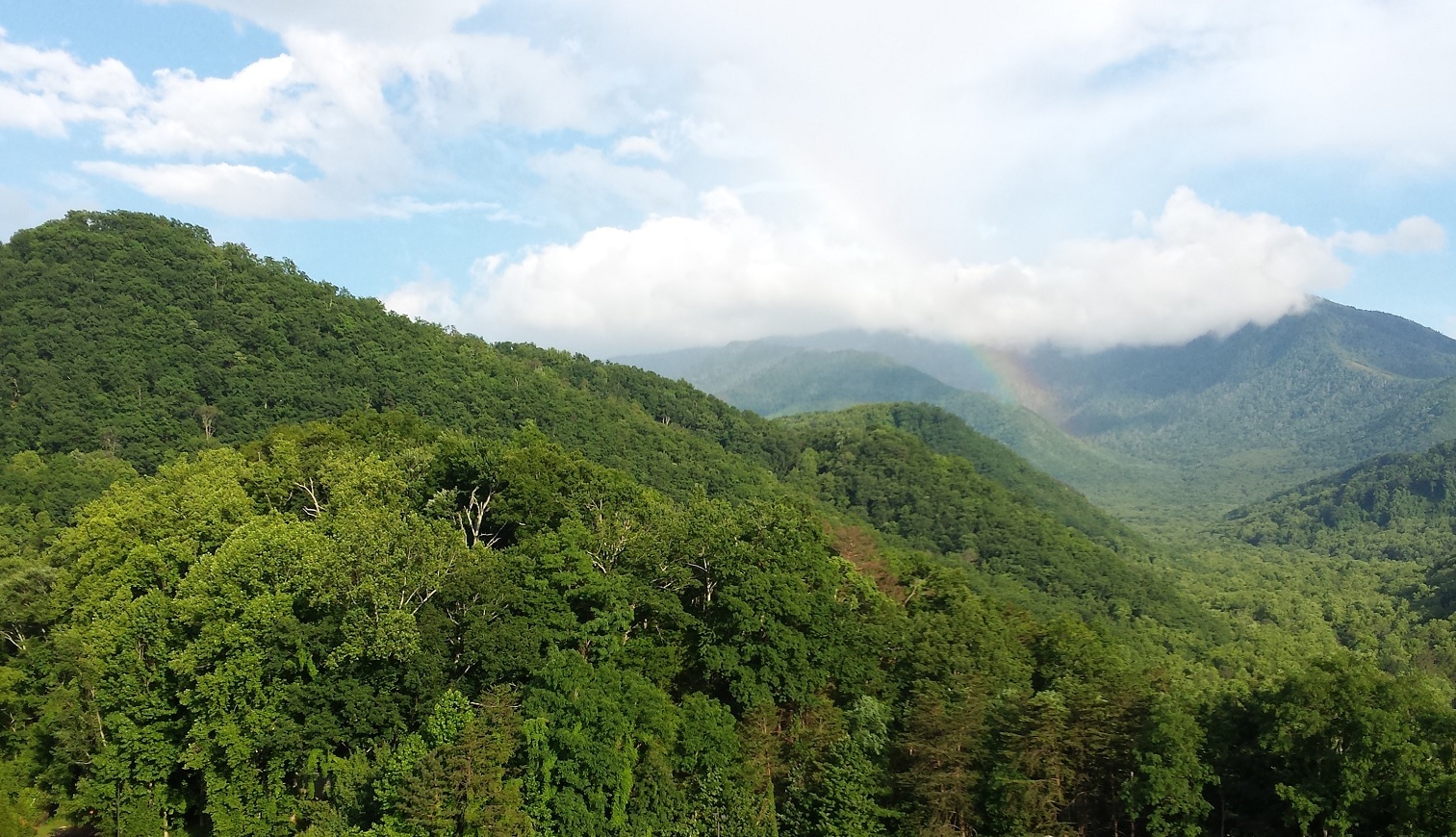 Great Smoky Mountains