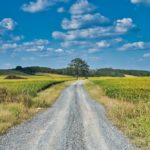 Lonely rural road