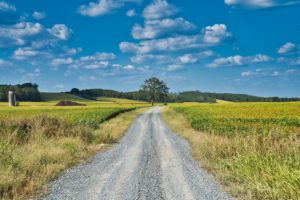 Lonely rural road