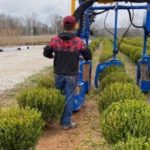 Picture of a man operating nursery machinery