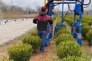 Picture of a man operating nursery machinery
