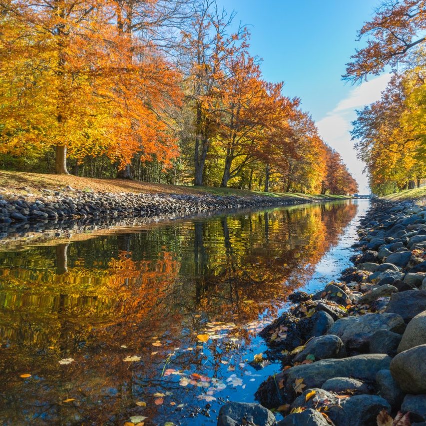 a wide clear straight riverbed meanders along a trees with autumnal orange leaves 