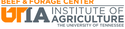 BEEF & FORAGE CENTER UrÍA INSTITUTE OF AGRICULTURE THE UNIVERSITY OF TENNESSEE
