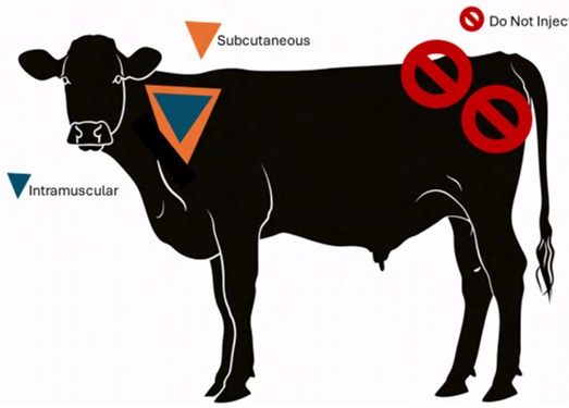O Do Not Inject Subcutaneous ee Intramuscular
