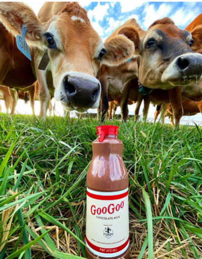 511 GooGoo CHOCOLATE MILK FLOWERS ĐƯỢC A BATCH FASTEUNITED HON HONOCUKOR PINT (473 mL) Photo credit: Flowers Creamery