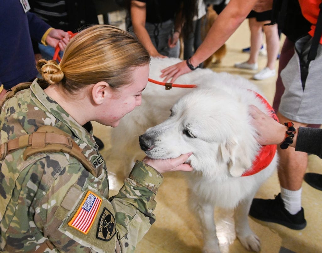 A student in army fatigues pets a HABIT volunteer dog in a red bandana