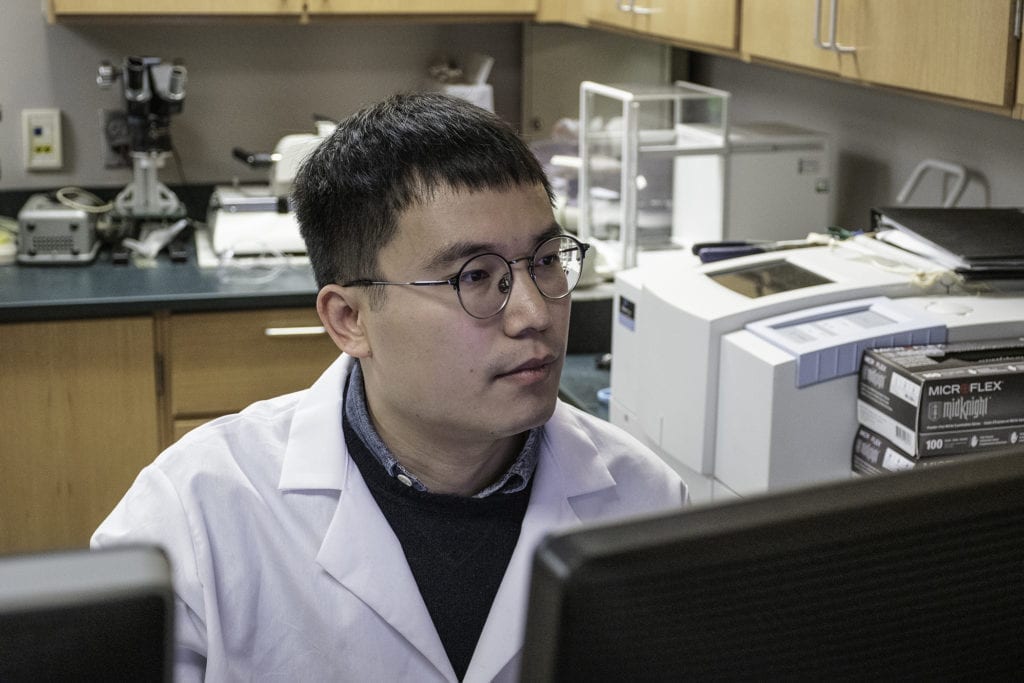 Qijun Zhang working in the lab