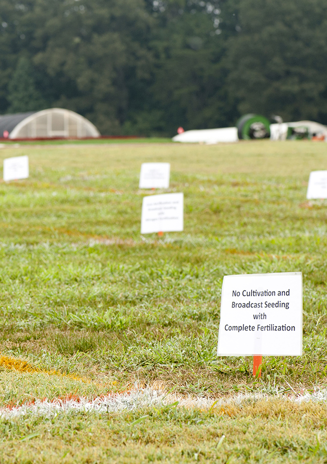 Plots of turf grass marked out with orange lines and small white signs