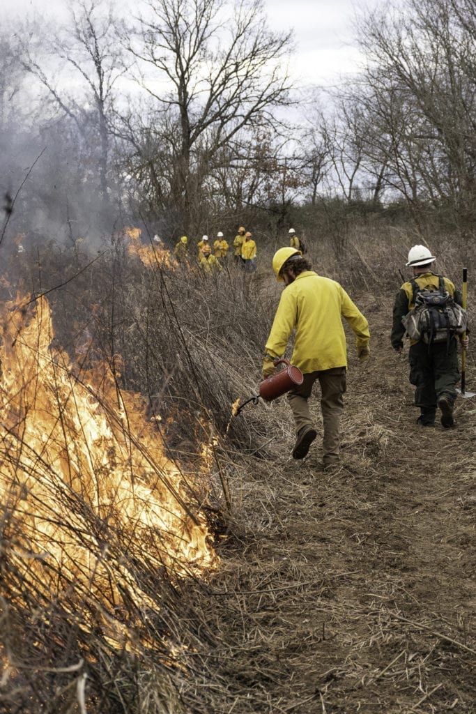 A student in a bright yellow jacket and hard hat walks at the edge of a controlled burn plot