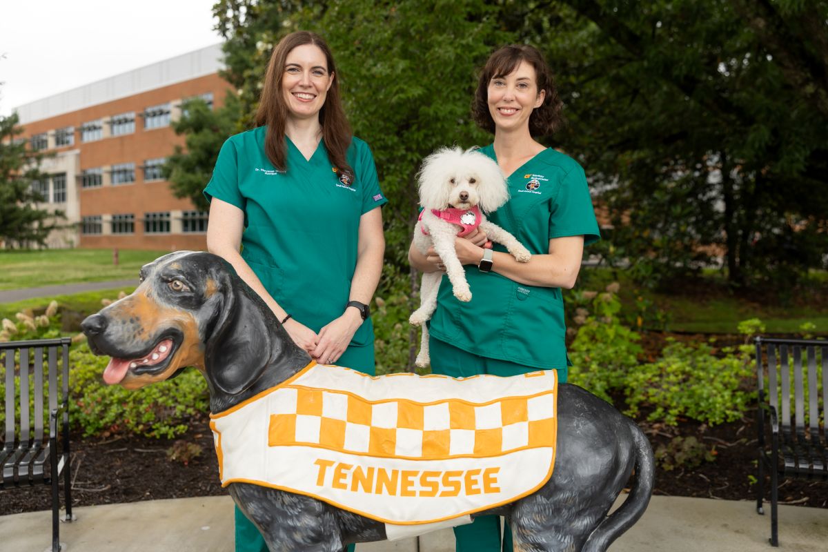 Two people in front of a Smokey statue on campus