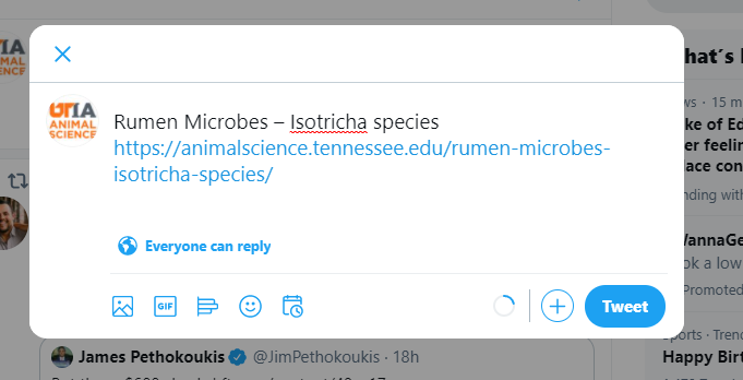 Screenshot of sharing a post to Twitter