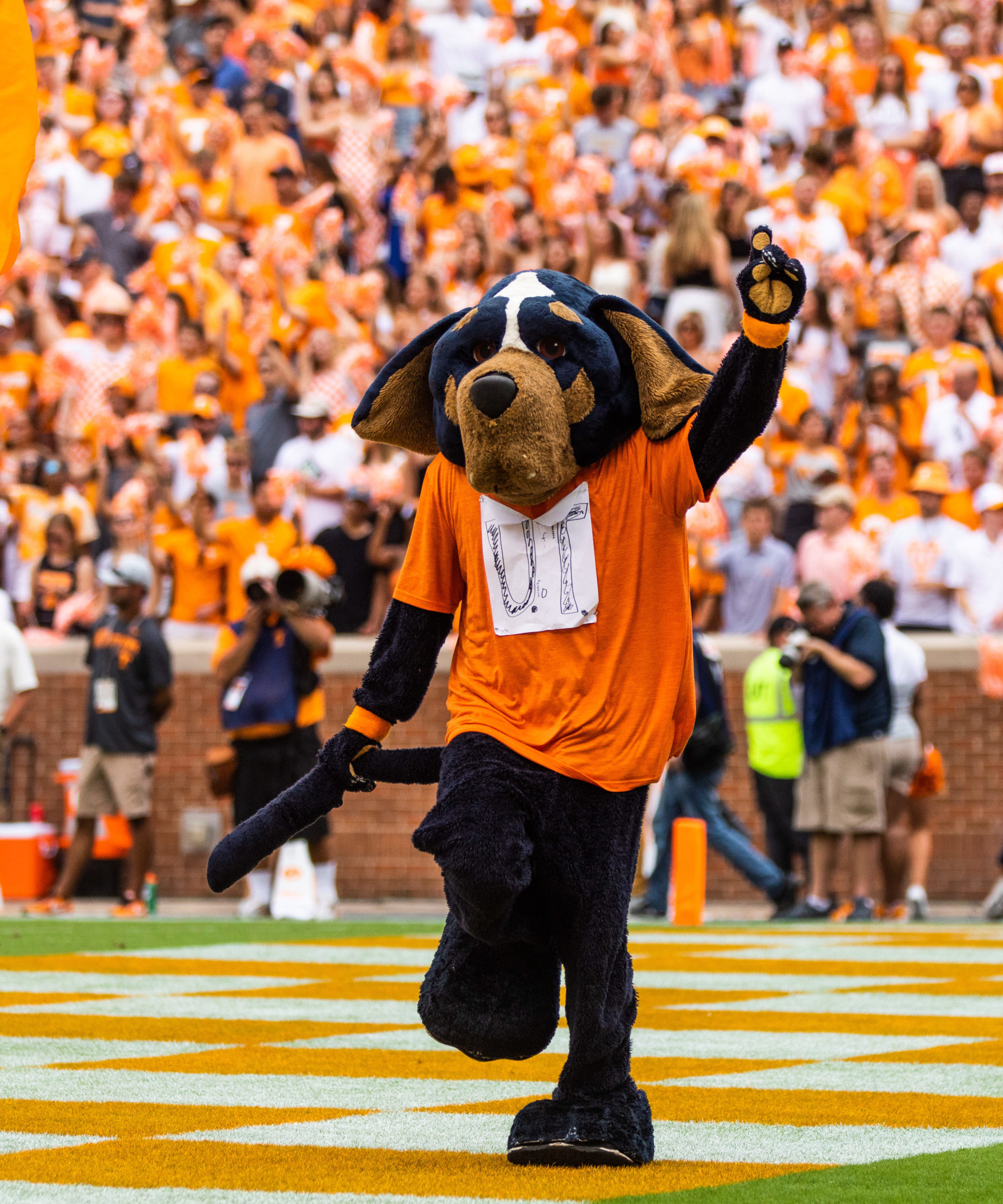 Smokey wearing the hand drawn UT shirt made by a Florida student 
