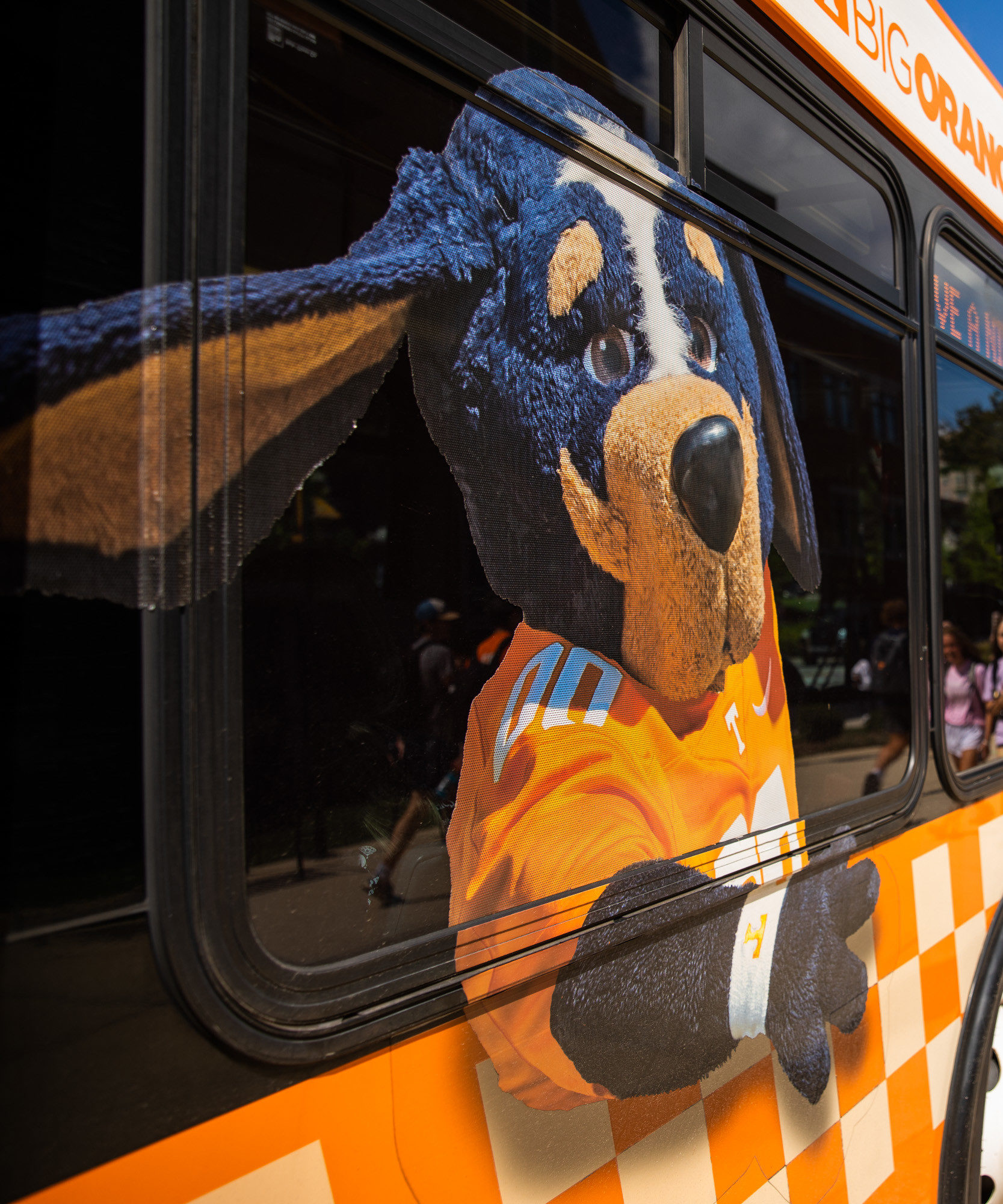 Smokey on the side of a bus 