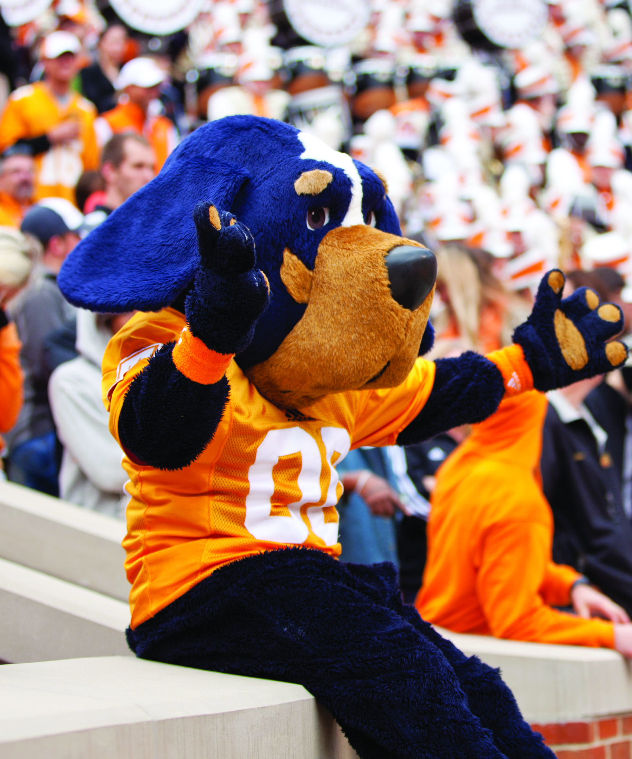 Smokey sitting on a wall in the student section of Neyland Stadium