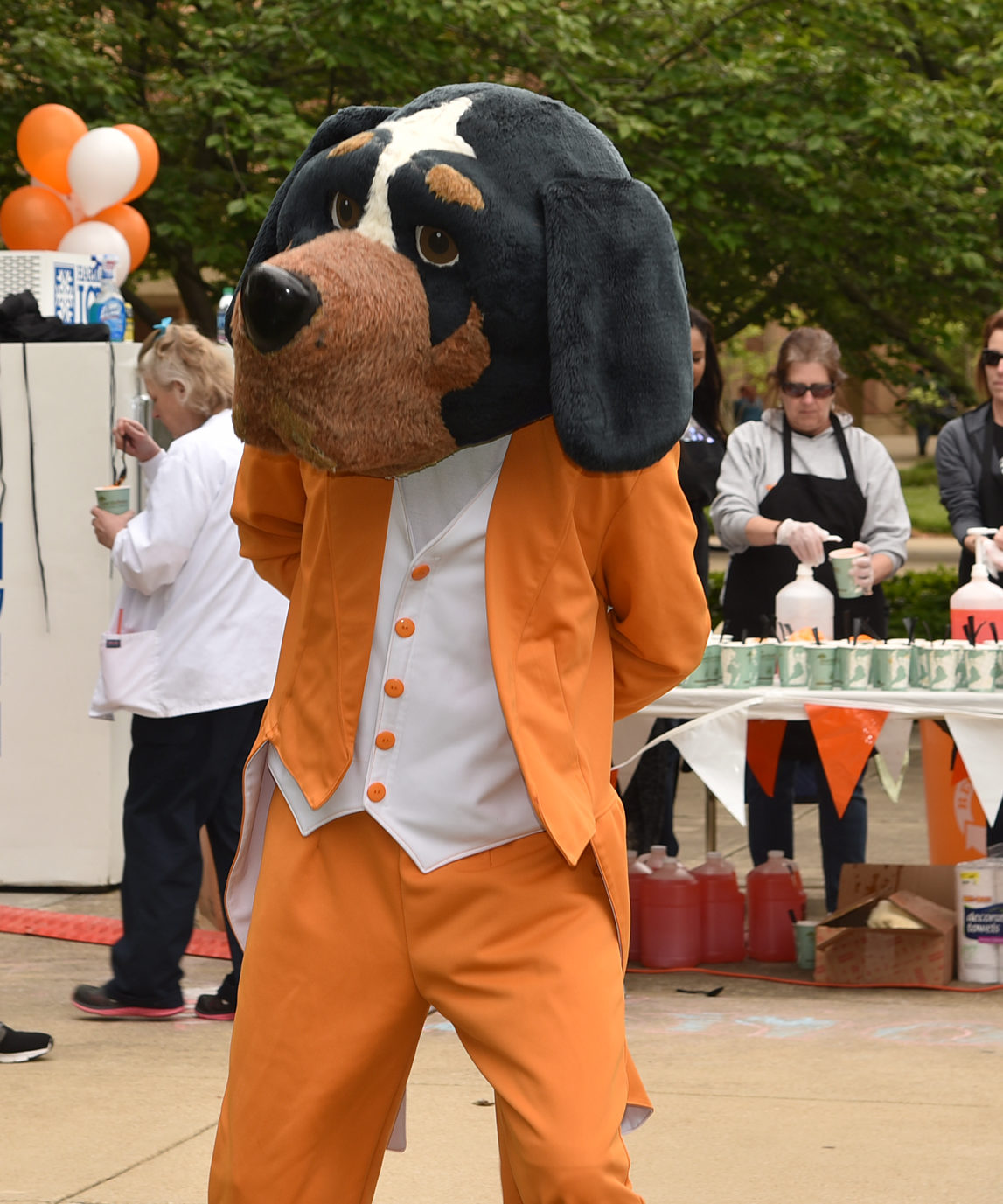 Smokey in his orange tuxedo