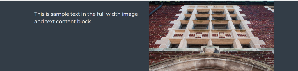Full With Image with Text Style 1 with No Button